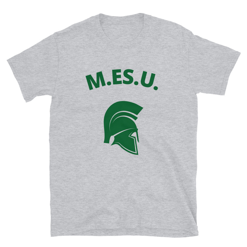 MSU TEE