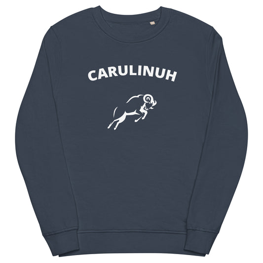 CAROLINA PREMIUM CREWNECK