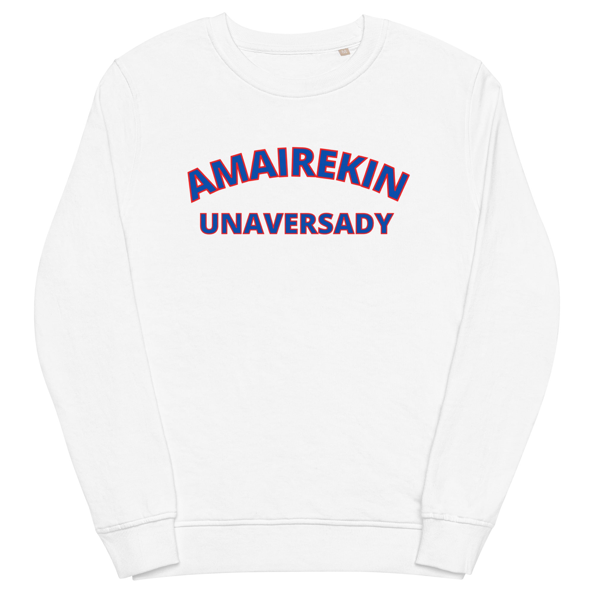 American university 2024 crew neck