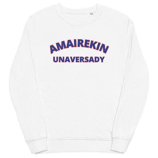 AMERICAN UNIVERSITY PREMIUM CREWNECK